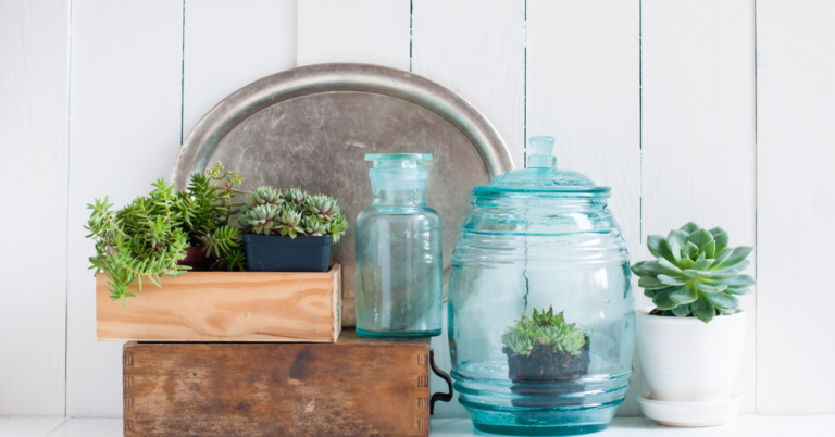 Refresh Your Home: 5 Budget-Friendly DIY Decor Ideas